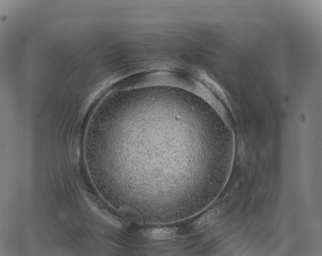 X0000062670059200512230957