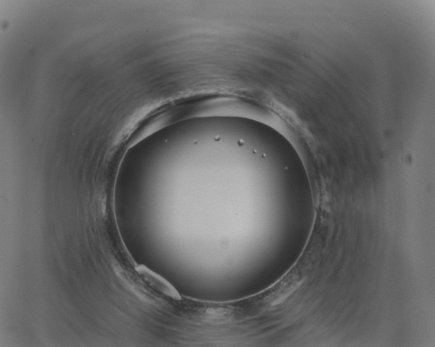 X0000062670060200512230957