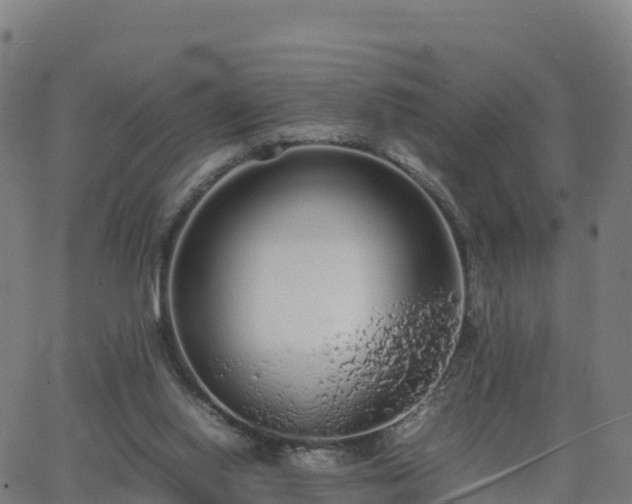 X0000062670062200512230957