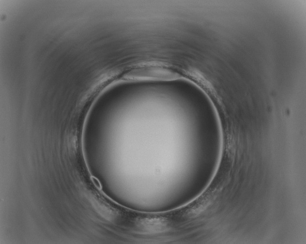 X0000062670063200512230957