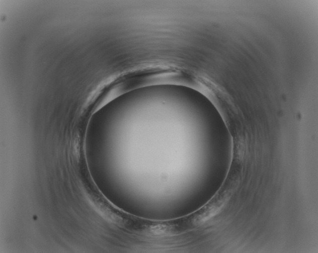 X0000062670064200512230957