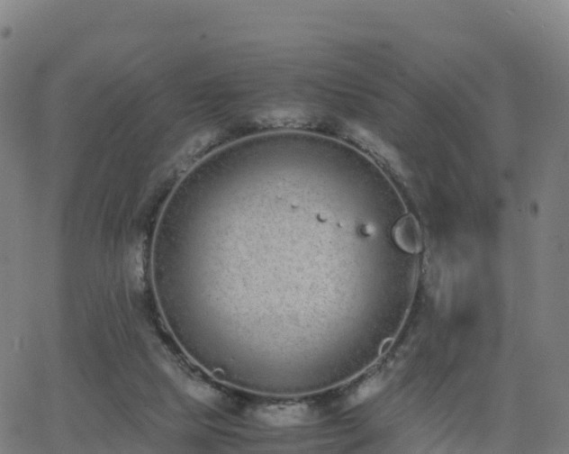 X0000062670065200512230957