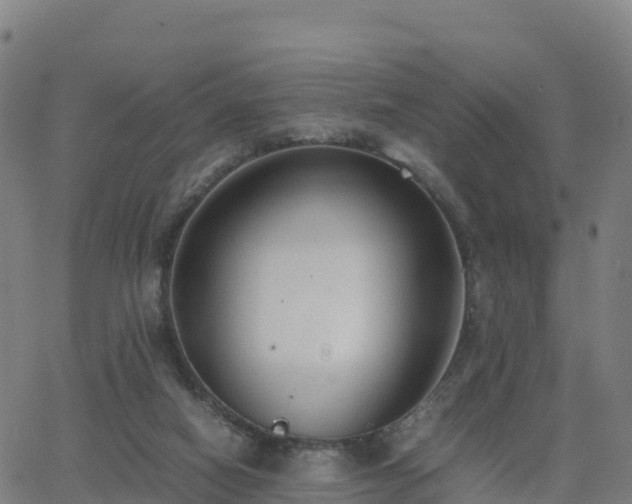 X0000062670066200512230957