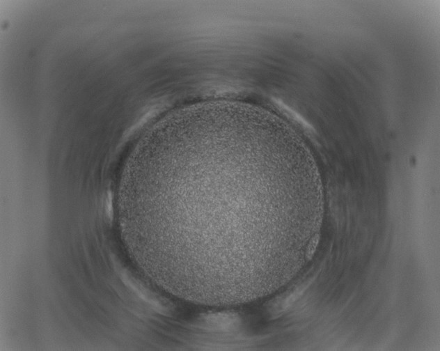 X0000062670067200512230957