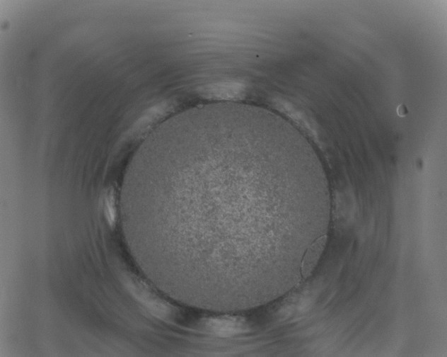 X0000062670069200512230957