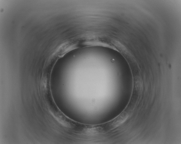 X0000062670072200512230957