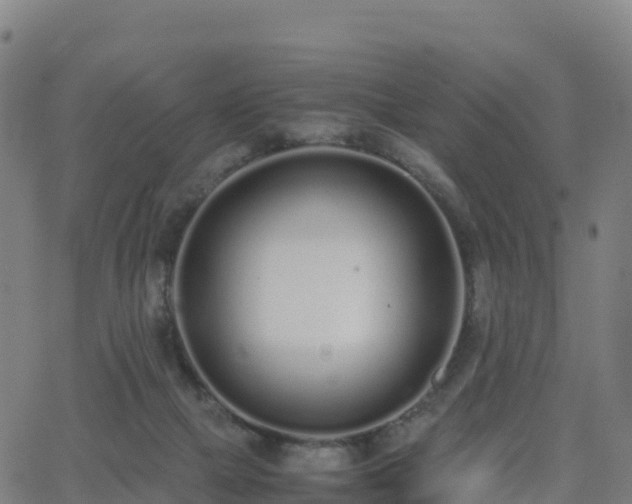 X0000062670073200512230957