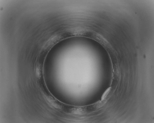 X0000062670074200512230957