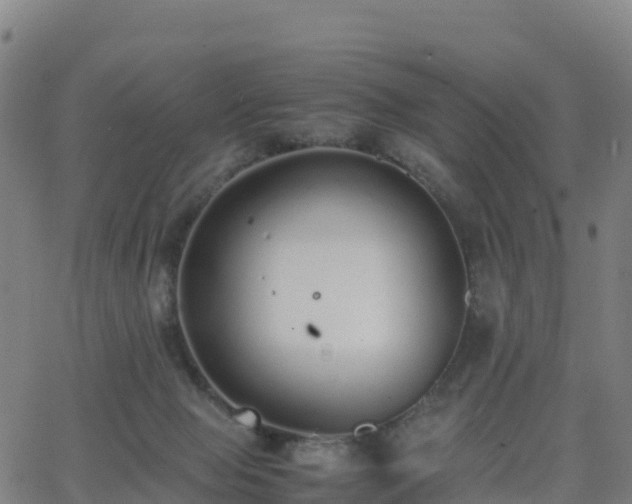 X0000062670077200512230957