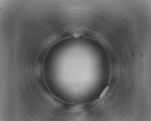 X0000062670078200512230957