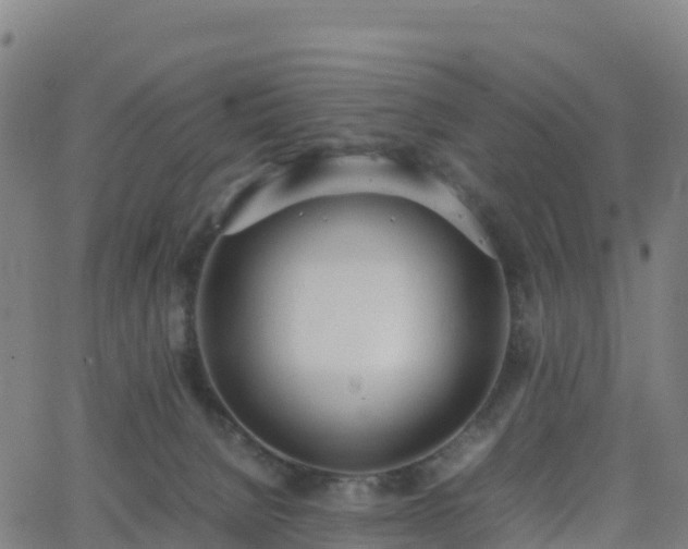 X0000062670080200512230957