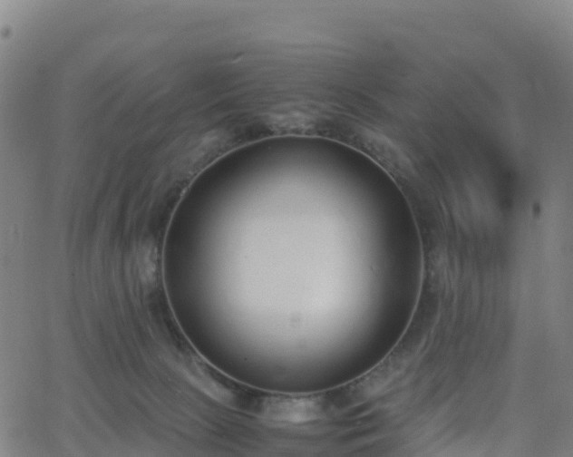 X0000062670081200512230957