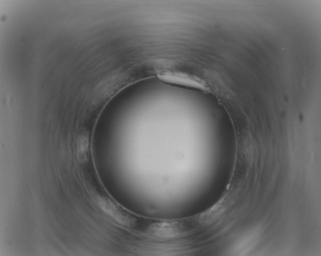 X0000062670082200512230957