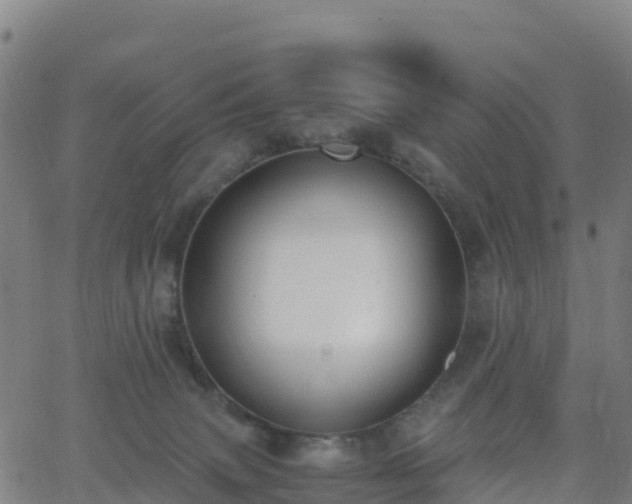 X0000062670083200512230957