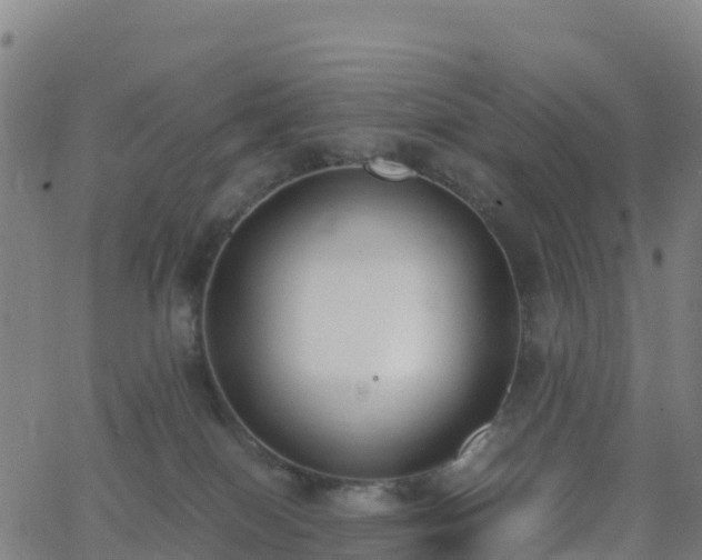 X0000062670086200512230957