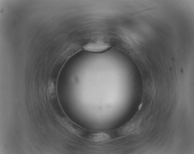 X0000062670087200512230957