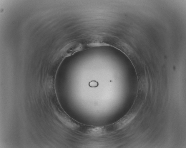 X0000062670092200512230957