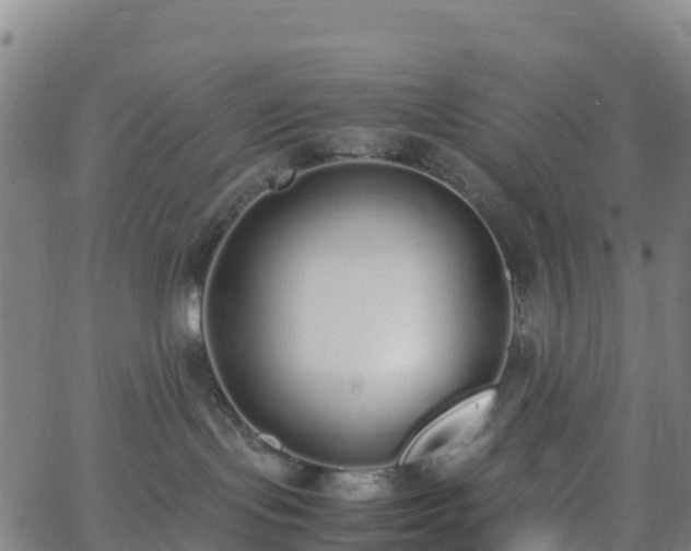 X0000062670095200512230958