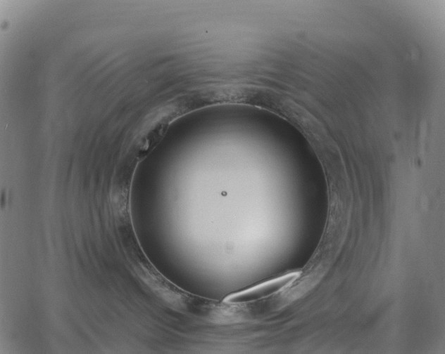 X0000062670096200512230958