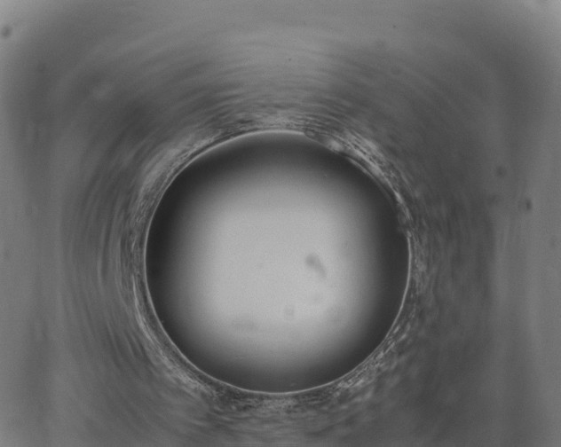 X0000062670097200512230957