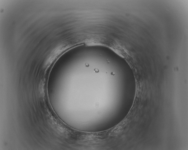 X0000062670098200512230957