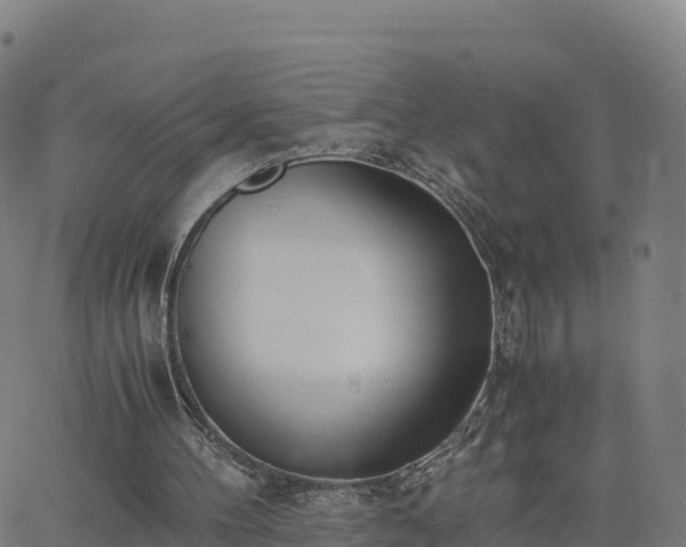 X0000062670100200512230957