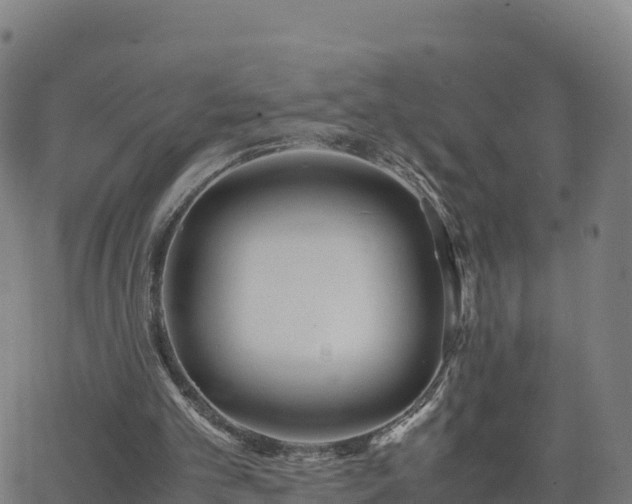 X0000062670101200512230957