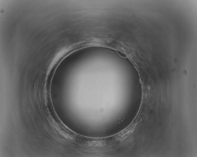 X0000062670102200512230957