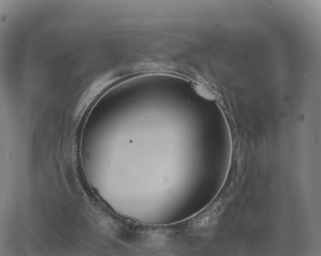 X0000062670103200512230957