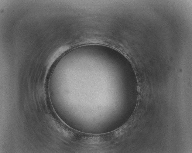 X0000062670104200512230957