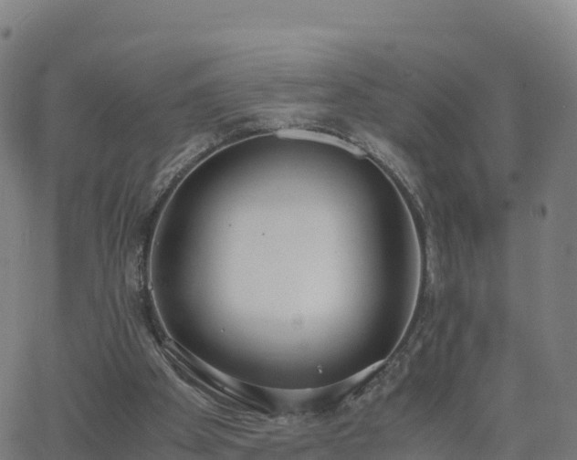 X0000062670105200512230957