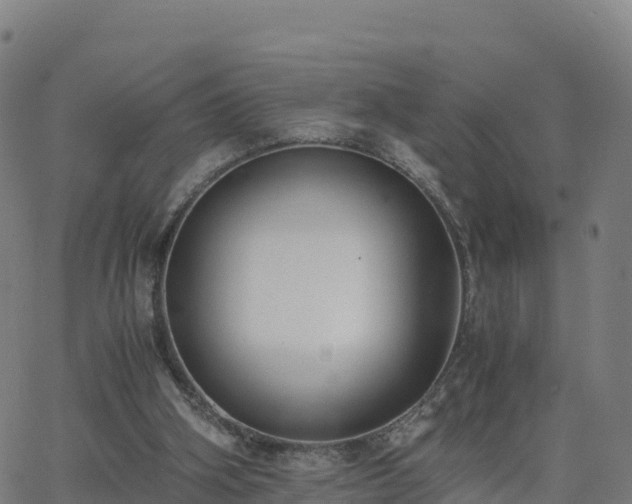 X0000062670106200512230957