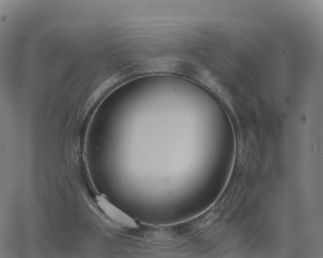 X0000062670107200512230957