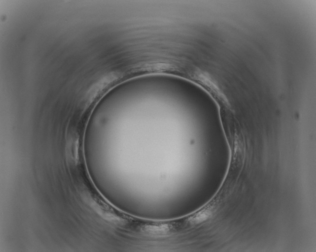 X0000062670110200512230957