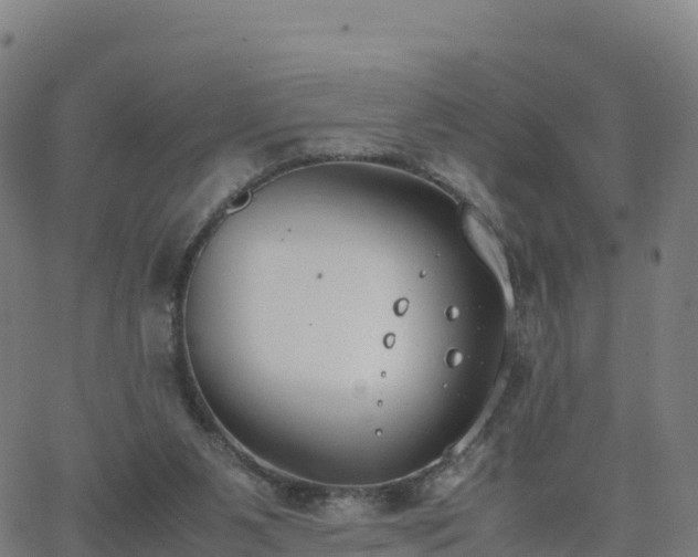 X0000062670111200512230957