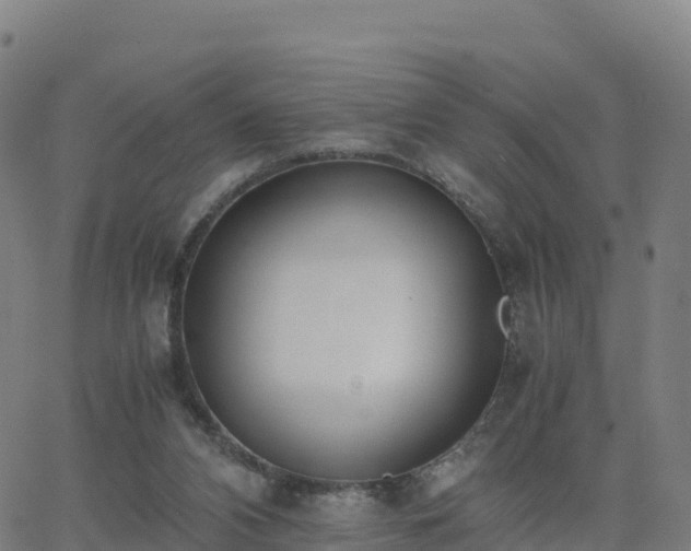 X0000062670112200512230957