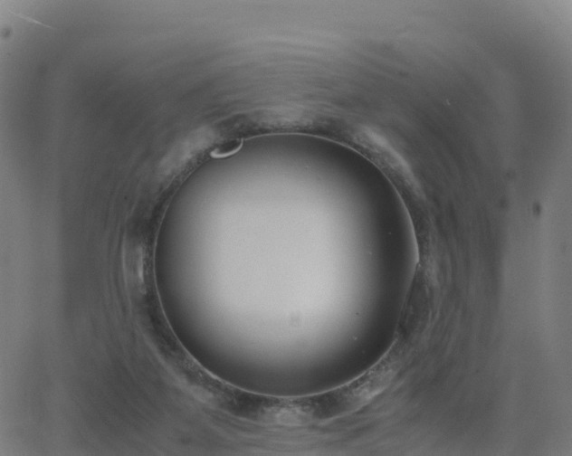 X0000062670115200512230956