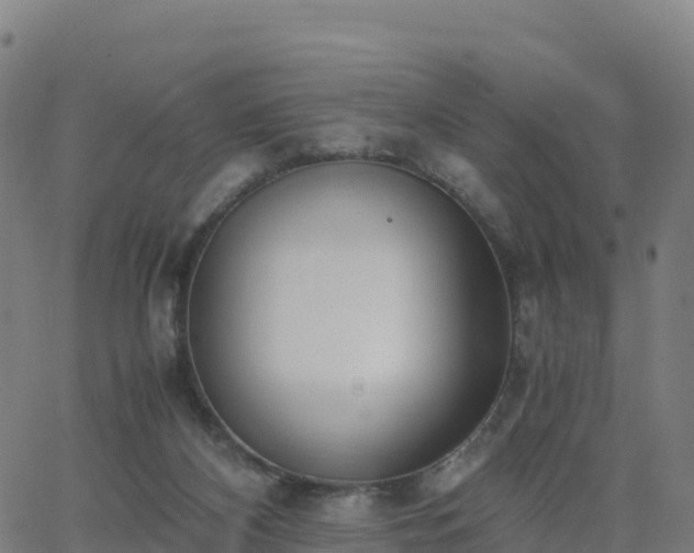 X0000062670116200512230956