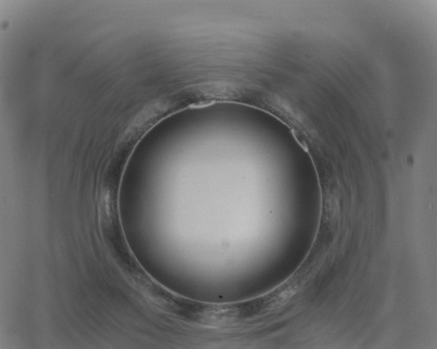 X0000062670117200512230956