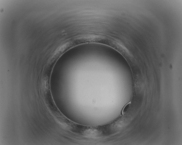 X0000062670119200512230956