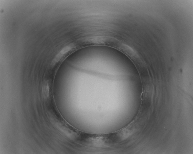 X0000062670120200512230956