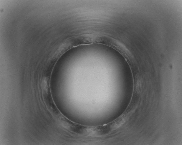 X0000062670121200512230956