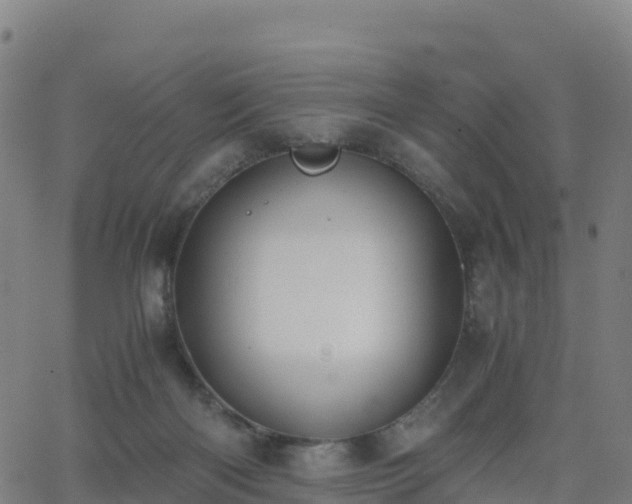 X0000062670122200512230956