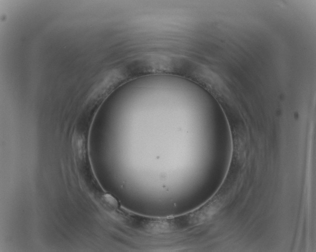 X0000062670123200512230956