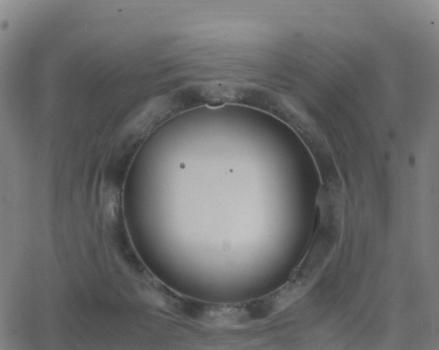 X0000062670125200512230956