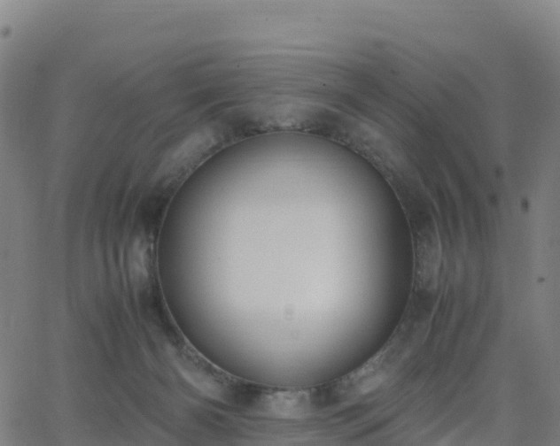 X0000062670126200512230956