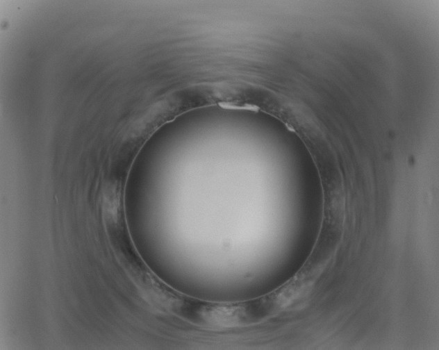 X0000062670129200512230956