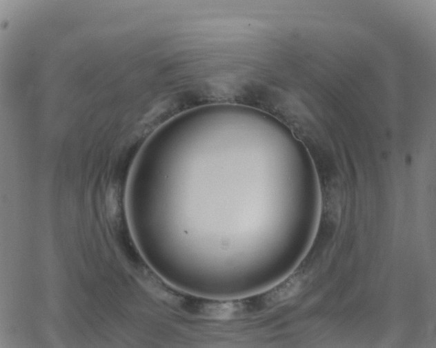 X0000062670131200512230956