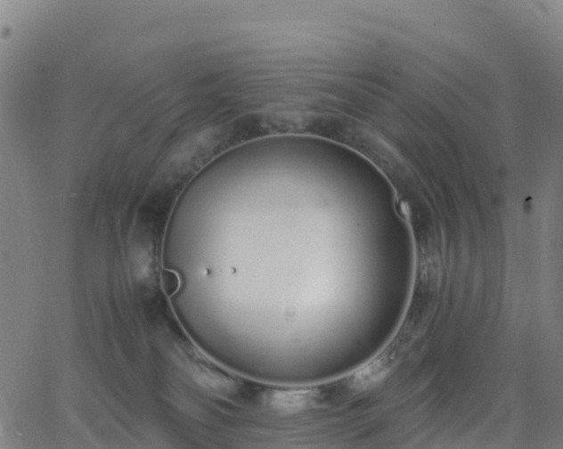 X0000062670134200512230956