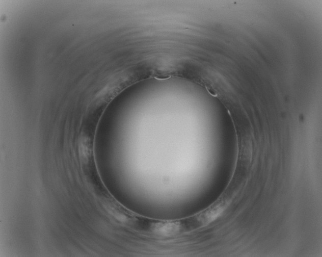 X0000062670135200512230956